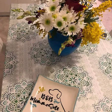 Alojamento de Acomodação e Pequeno-almoço Mimmosole